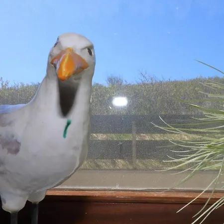 Apartamento Fewo-weigel-stranduebergang